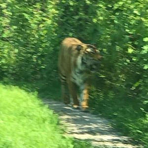 Meet your Posher, Krista